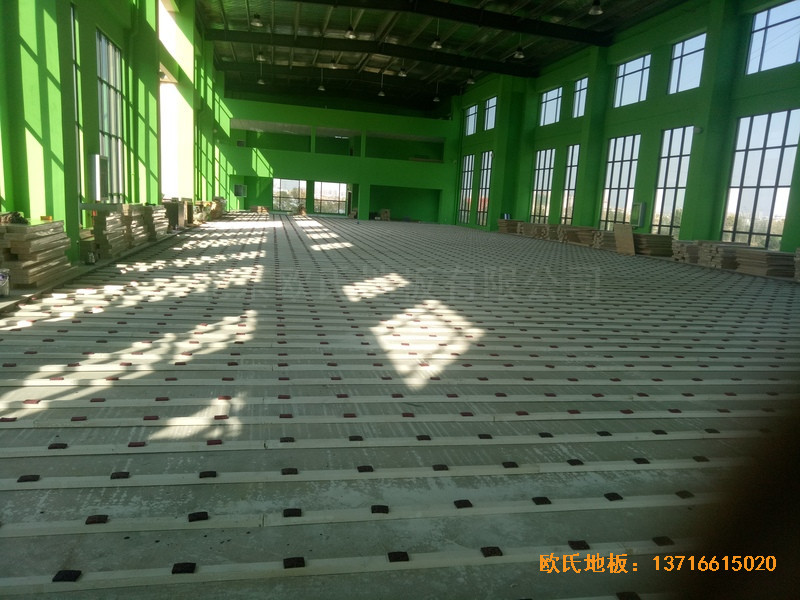 �����S���\���^�\��ľ�ذ尲�b����1