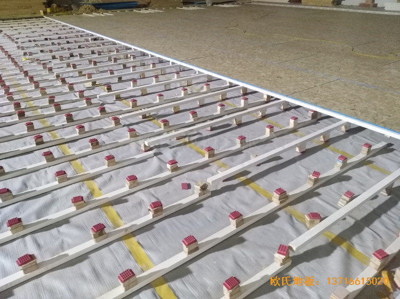 �����S���I�����M(f��i)վ�@���^�\(y��n)��(d��ng)�ذ尲�b����2