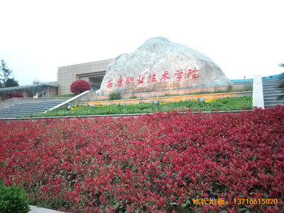 ��������I(y��)���g(sh��)�W(xu��)Ժ�@���^�\(y��n)��(d��ng)�ذ尲�b����