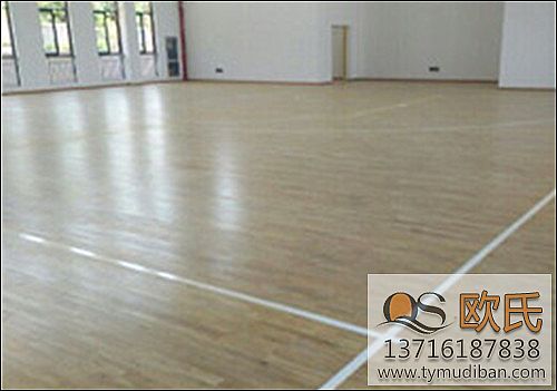 �w���\(y��n)��(d��ng)��(sh��)ľ�ذ�ĸ���(g��)�Y(ji��)��(g��u)��