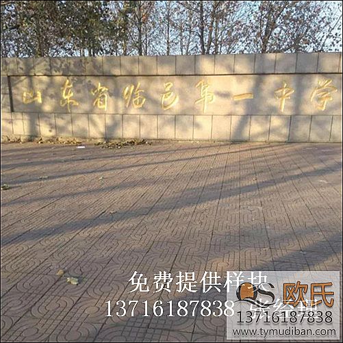 �w�����^�@���\��ľ�ذ尸��-ɽ�|�����R����Ҫ�ЌW�w�����^