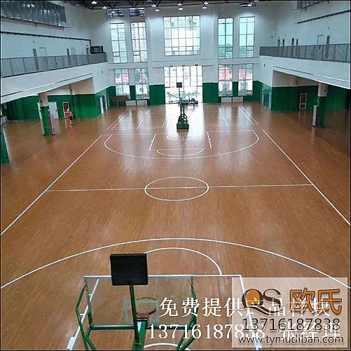 ɽ�|�ʝ��ж���һ�л@����w���^�\(y��n)��(d��ng)��(sh��)ľ�ذ��(xi��ng)Ŀ