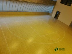 ��ľ�@���w��ľ�ذ�S�҈�(b��o)�r(ji��)