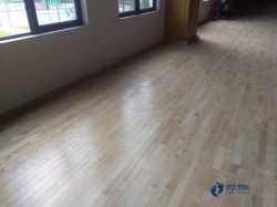 ��ľ�w�����ذ��坍���B