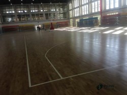 �е��w����(ch��ng)ľ�ذ�S�҈�(b��o)�r(ji��)