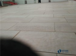 �������w�����^ľ�ذ��坍���B