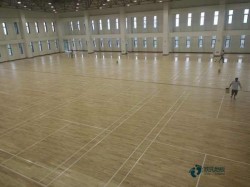 �����\��ľ�ذ�h��