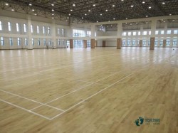 �҃�(n��i)�\(y��n)�ӈ���ľ�ذ�ʩ���