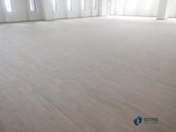 �@��ľ�ذ�Y(ji��)������