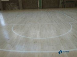 �����w���\(y��n)��(d��ng)ľ�ذ屣��