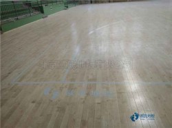 ��(sh��)ľ�\(y��n)��(d��ng)�@��ذ�S�o(h��)���B(y��ng)