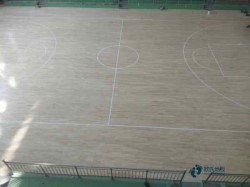 ��Ʒ�|(zh��)�w���\(y��n)��ľ�ذ���ô���B(y��ng)