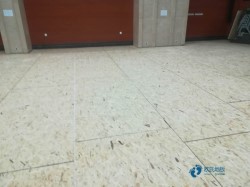 ��ľ���_(t��i)�\(y��n)��(d��ng)�w���ذ�ʲô���Ӻ�